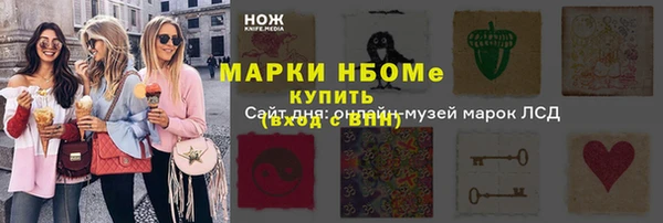 индика Абинск