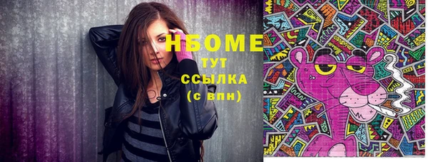 индика Алзамай