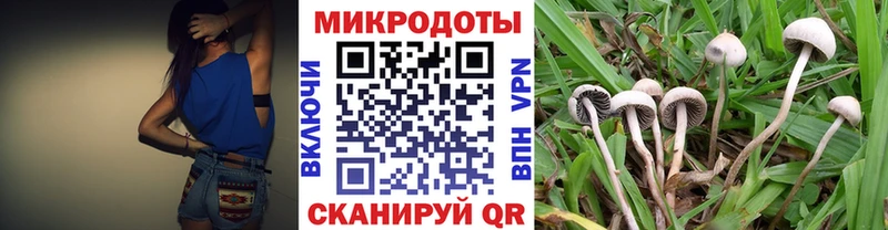 Галлюциногенные грибы Cubensis  как найти   Ряжск 